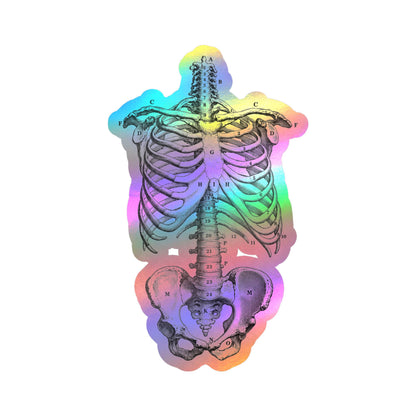 Vintage Anatomical Skeleton Sticker | Ribcage Diagram 5.5" x 3.3"