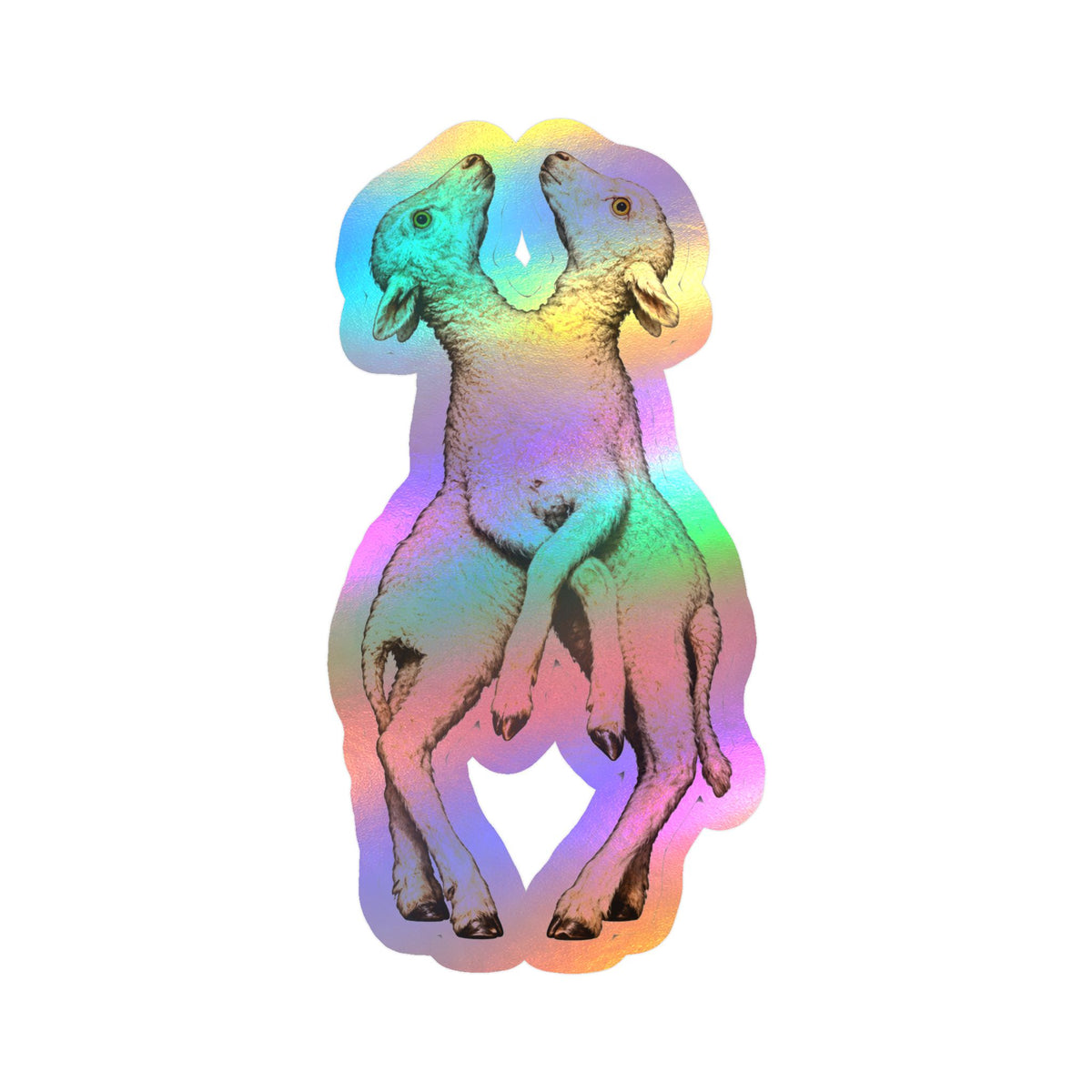 Two-Headed Lamb Sticker | Strange Farm Animal Oddity 5.5" x 2.7"