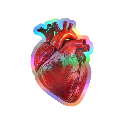 Anatomical Human Heart Sticker | 5" x 3.5" | Realistic Art