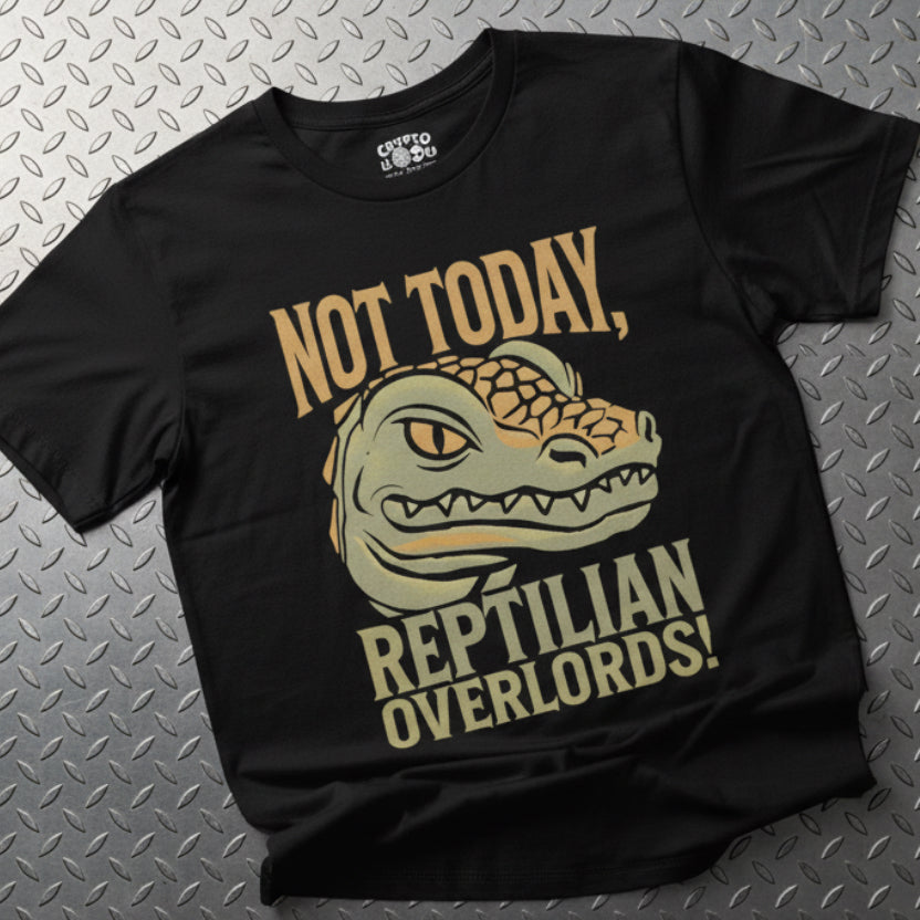 Not Today Reptilian Overlords Bella Canvas 3001 Flat Lay

