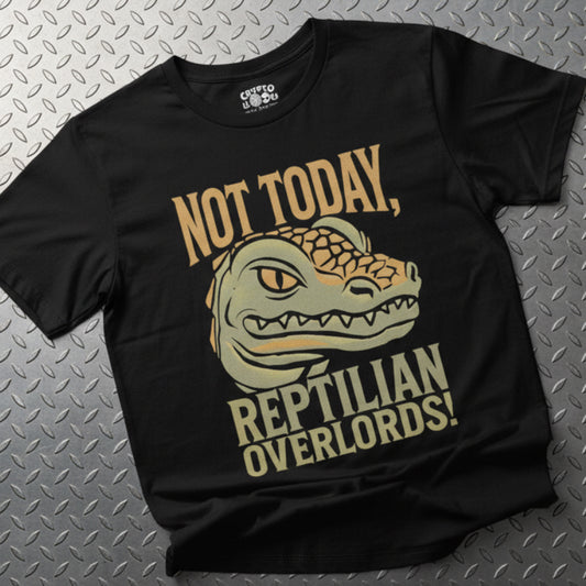 Not Today Reptilian Overlords Bella Canvas 3001 Flat Lay
