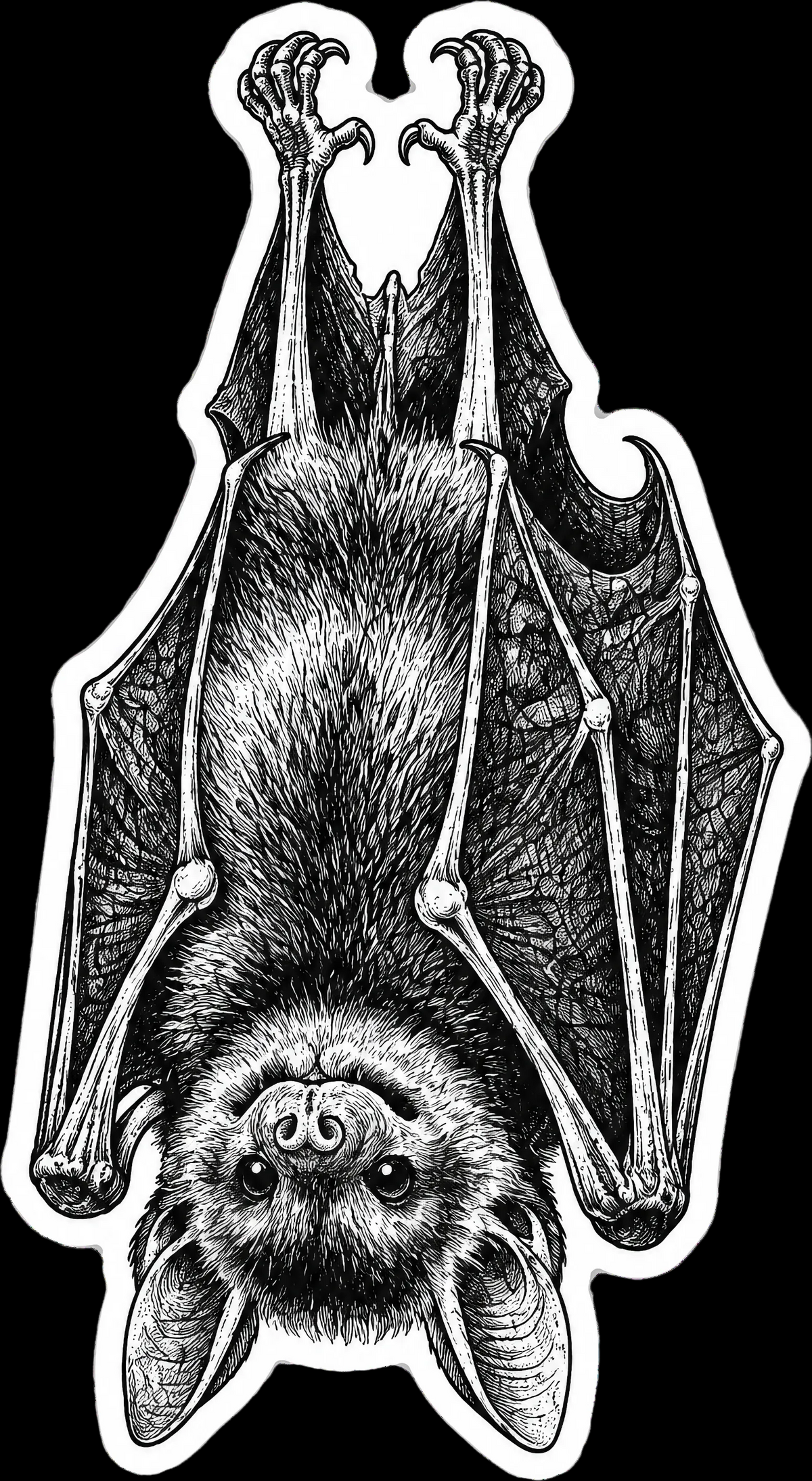 Upside-Down Bat Sticker | Gothic Engraving Art 5.5" x 3"