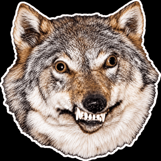 Paper products - Creepy Grinning Wolf Sticker | 3.5" | Taxidermy Meme from SHIRT MONSTERS