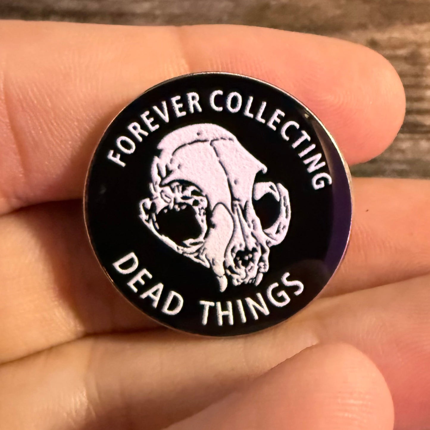  - Forever Collecting Dead Things Pinback Button | Pinback Button | Horror | Goth/Gothic from Crypto Zoo Tees