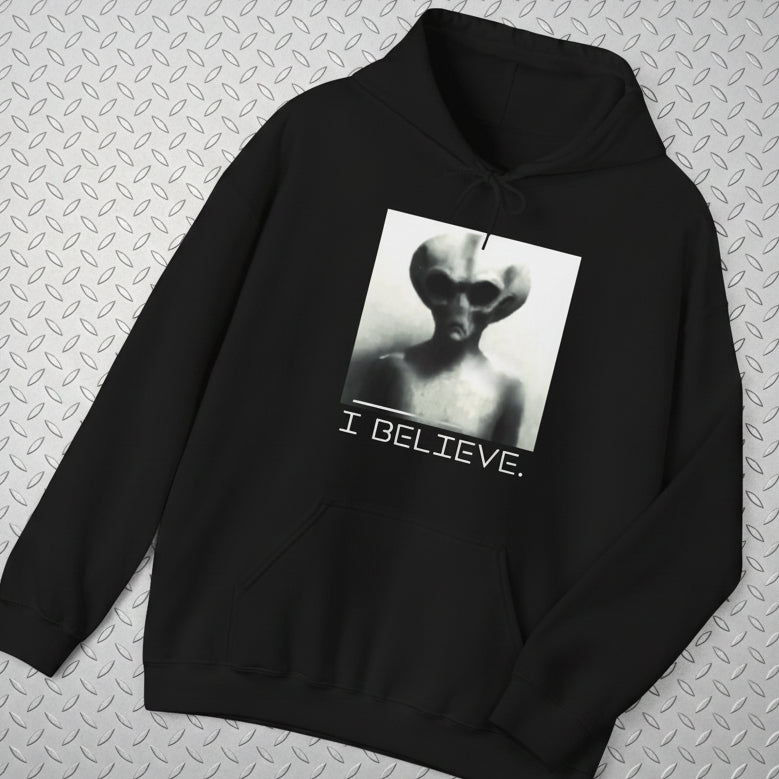 Hoodie - I Believe in Aliens Hoodie - Funny UFO Sweatshirt, Sci - Fi Alien Hoodie, Retro Space Gift, Unisex Hoodie for Alien Lovers from Crypto Zoo Tees