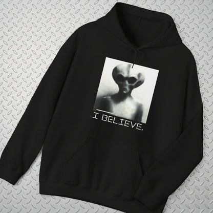 Hoodie - I Believe in Aliens Hoodie - Funny UFO Sweatshirt, Sci - Fi Alien Hoodie, Retro Space Gift, Unisex Hoodie for Alien Lovers from Crypto Zoo Tees